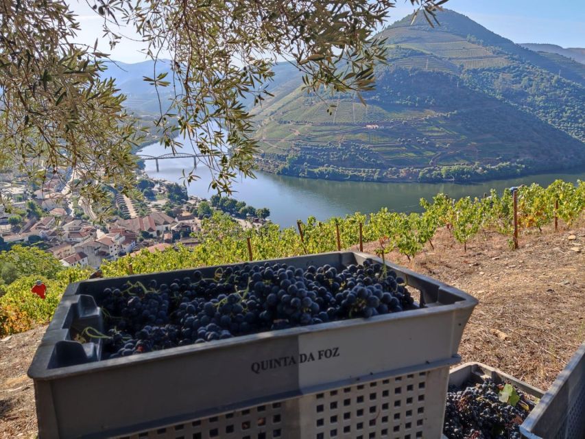 Douro Valley: (Pinhão) Quinta da Foz - Tour&Tasting 5 WINES - Miradouro and the winery charm you can’t fake