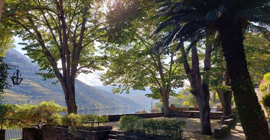 Douro Valley: (Pinhão) Quinta da Foz - Tour&Tasting 5 WINES - What to bring, what to wear, and camera rules