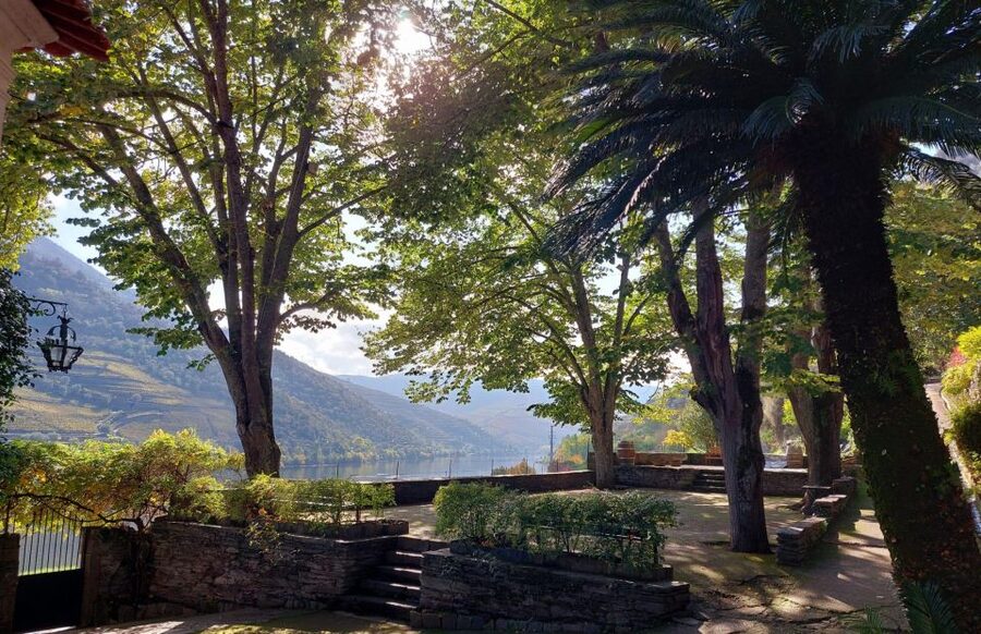 Douro Valley: (Pinhão) Quinta da Foz - Tour&Tasting 5 WINES - Inside the winery: the technical tour that makes the wines click