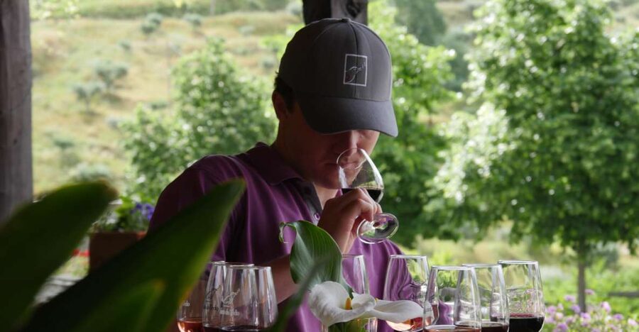 Douro Valley: Premium Port Tasting Winery Tour & River Views - Why This Douro Winery Tour Feels Different from a Typical Tasting