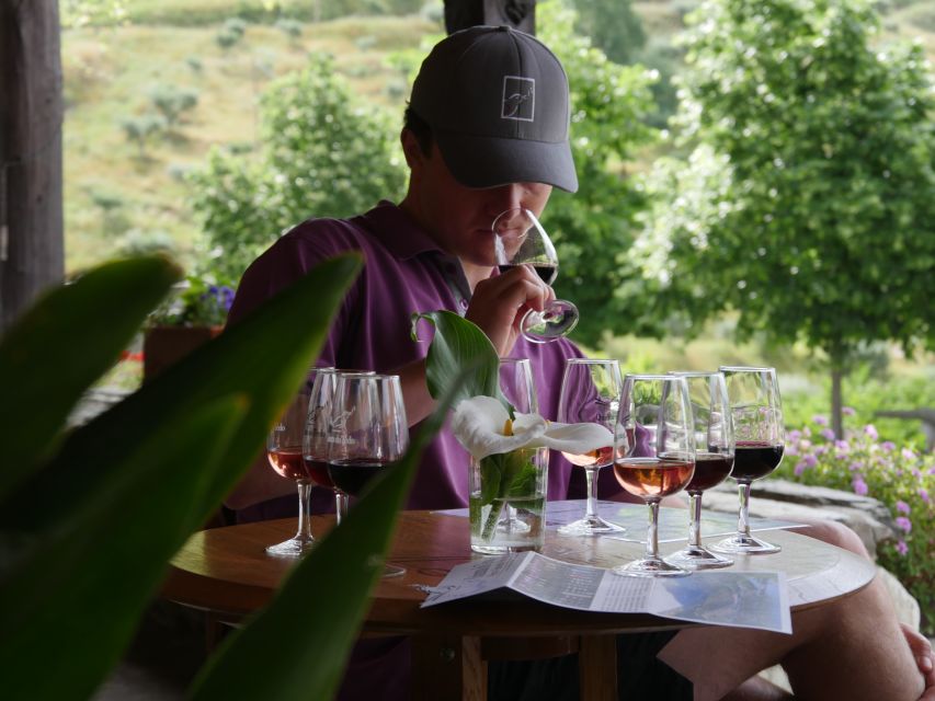 Douro Valley: Premium Port Tasting Winery Tour & River Views - Inside the 18th-Century Cellars: Aging, Bottling, and What You Taste