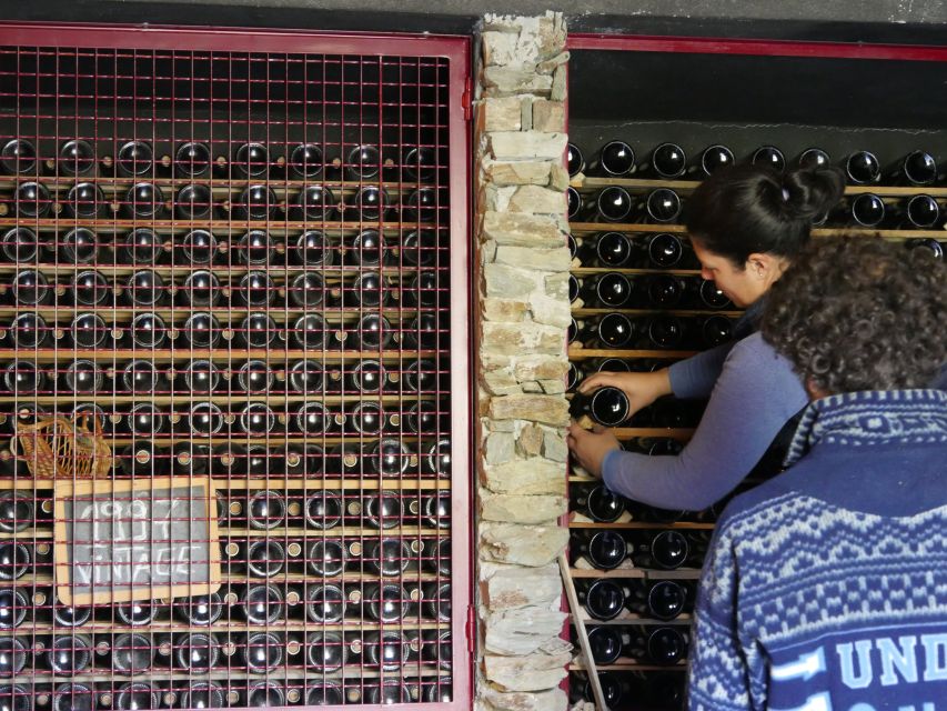 Douro Valley: Premium Port Tasting Winery Tour & River Views - The 90-Minute Flow, From Welcome to River-View Tasting