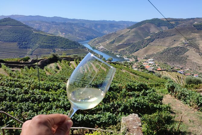 Douro Valley Premium Tours - Private Driver & Guide - Pace, group size, and why it feels like a real day out