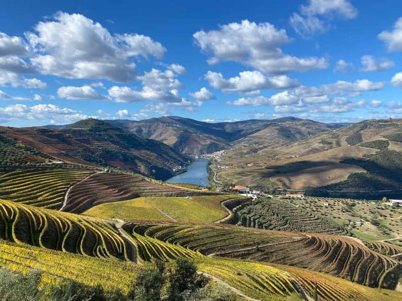 DOURO VALLEY: Premium Wine Tour, Winery Lunch & Private Boat - Pinhão and the private boat cruise: the calm middle of the day