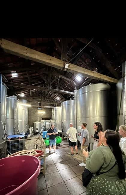 DOURO VALLEY: Premium Wine Tour, Winery Lunch & Private Boat - The N222 drive and photo stops between Pinhão and Peso da Régua