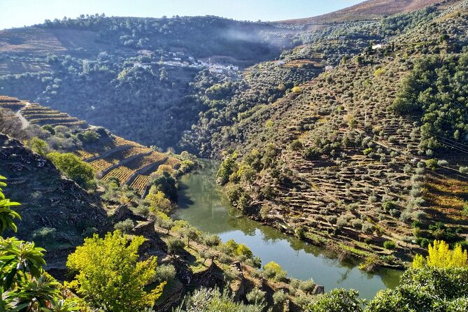 Douro Valley Prime Tour: Wine Tastings, Boat & Lunch from Porto - How the Douro shows up: tunnels, tributaries, and Peso da Regua