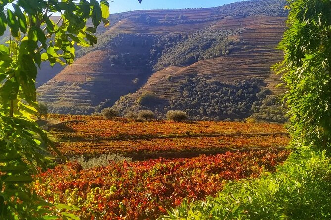 Douro Valley Prime Tour: Wine Tastings, Boat & Lunch from Porto - The early route: Vinho Verde, Amarante, then the mountain run
