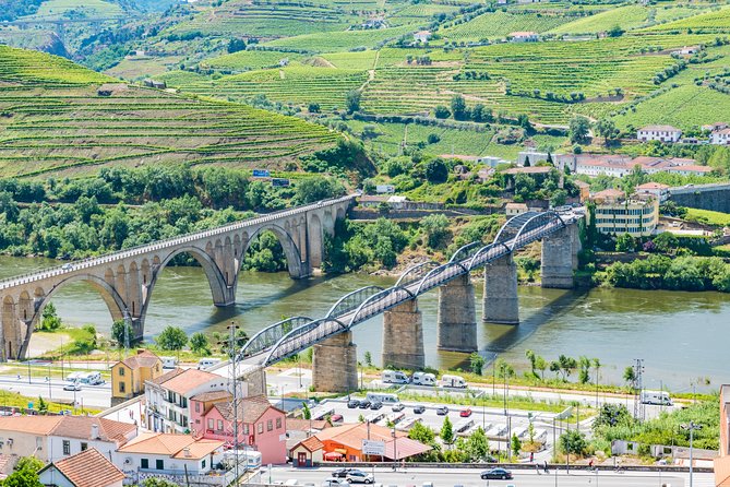 Douro Valley private day tour from Porto - Price and Logistics: Is This $660.87 Per Group Worth It?