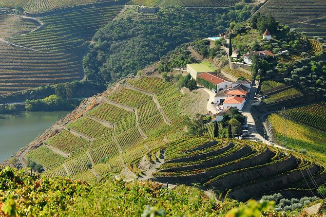 Douro Valley private day tour from Porto - Guides, Flexibility, and the Human Touch You Actually Remember