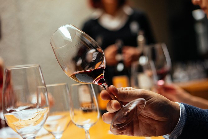 Douro Valley Private Day Trip including Boat Ride & Wine Tasting - A Douro day from Porto that actually feels personal