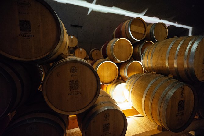 Douro Valley Private Day Trip including Boat Ride & Wine Tasting - Wine tasting expectations, Port vs dry, and how to get more from it