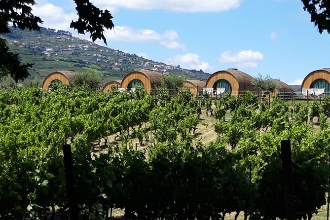 Douro Valley Private Premium Tour with Wine Tasting (1 to 4 people) - Stop 2: Lamego, the vineyard estate lunch, and tasting with time to breathe