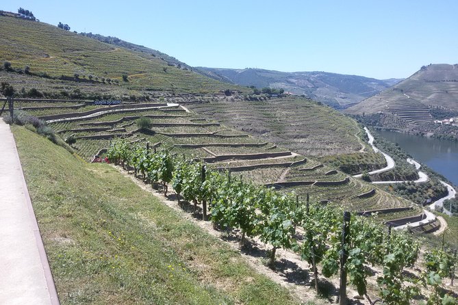 Douro Valley Private Premium Tour with Wine Tasting (1 to 4 people) - National Road 222 and the drive between stops