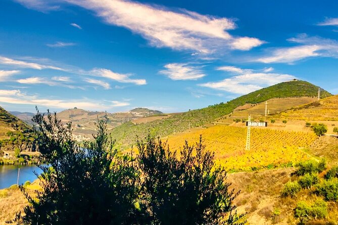 Douro Valley Private Tour: 2 Farms, Lunch & Boat Trip - Key highlights you will feel from the start