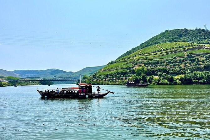 Douro Valley Private Tour: 2 Farms, Lunch & Boat Trip - Two farm experiences: Sabrosa lunch and Vale do Douro tastings