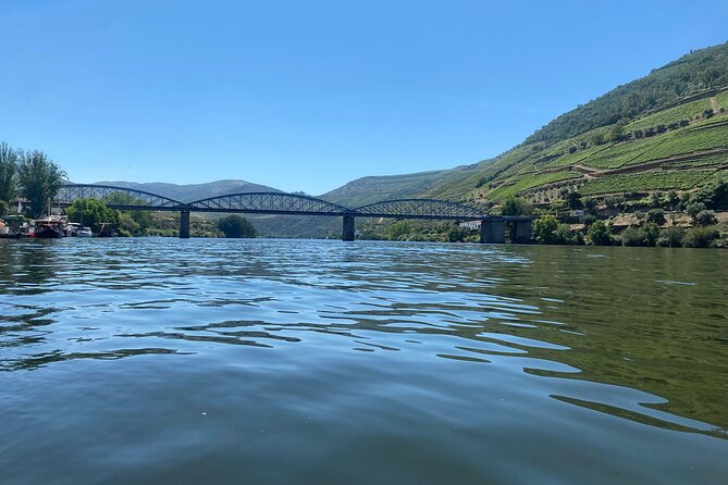 Douro Valley Private Tour: 2 Farms, Lunch & Boat Trip - Price and value: what $264.64 per person is really buying