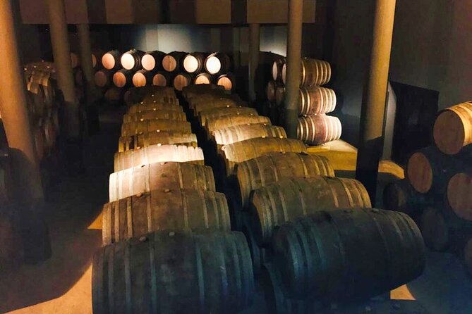 Douro Valley Private Tour: 2 Farms, Lunch & Boat Trip - Should you book this Douro Valley Private Tour with 2 farms, lunch, and boat?