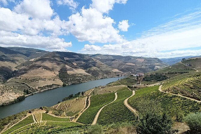 Douro Valley Private Tour - Lunch in Pinhão: a real meal with river views
