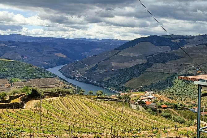 Douro Valley Private Tour - The guide factor: why Pedro keeps showing up in the reviews
