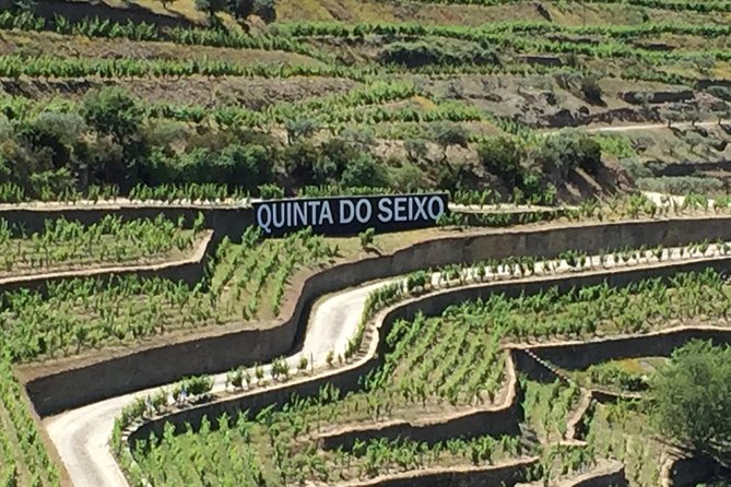 Douro Valley Private Tour from Oporto - Douro Valley From Porto: What This Private Tour Does Well