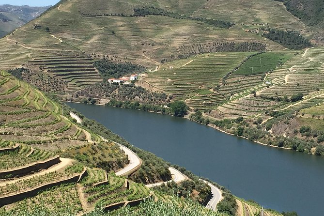 Douro Valley Private Tour from Oporto - Casal de Loivos viewpoint: a short stop that teaches you the scale