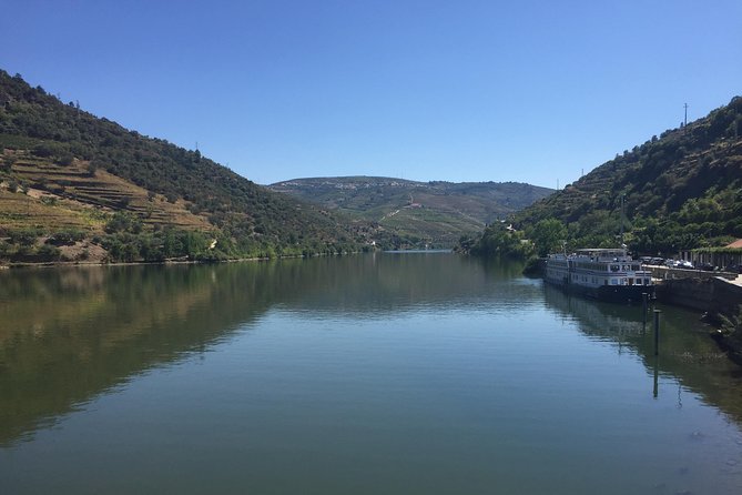 Douro Valley Private Tour from Oporto - Quinta do Tedo: a focused winery visit with tasting