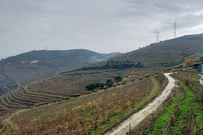 Douro Valley private tour full day - Stop 5: Casal de Loivos viewpoint for the classic Douro pause