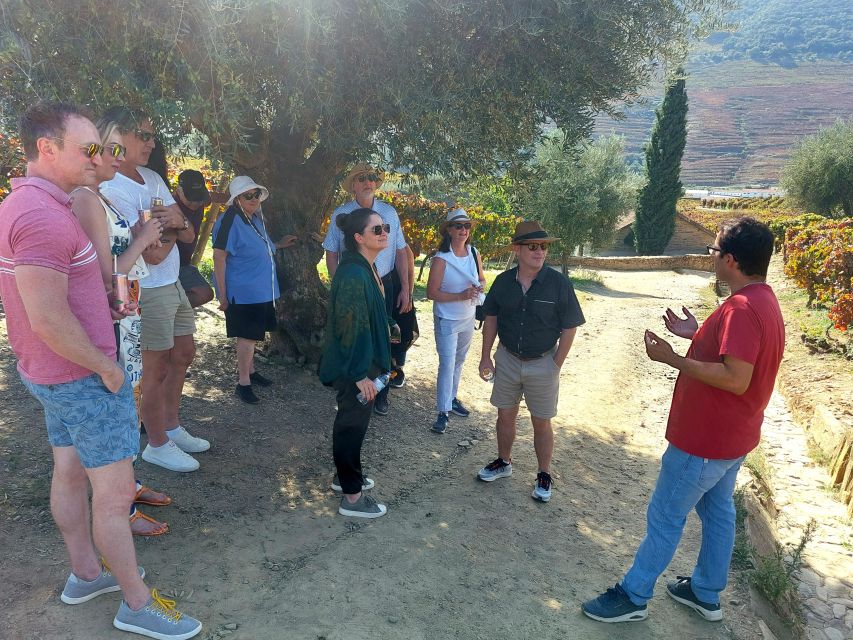 Douro Valley private tour & wine experience including lunch - Key Highlights Worth Showing Up For