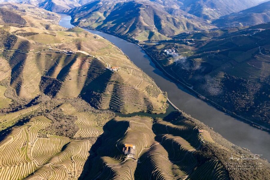 Douro Valley private tour & wine experience including lunch - Price and What You’re Really Getting at $227
