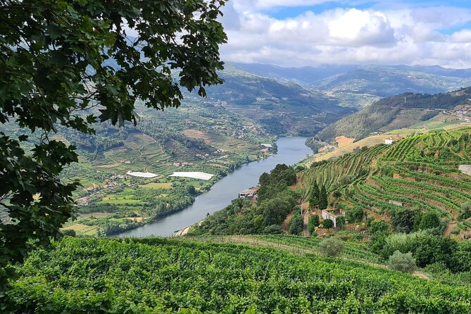 Douro Valley Private Tour (winery + boat + viewpoint) - Pickup, Private Transportation, and How the Day Feels
