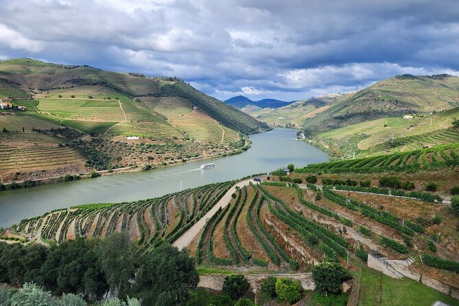 Douro Valley Private Tour (winery + boat + viewpoint) - Price and Value: What $198.25 Buys You in Real Terms