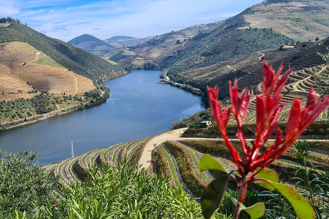 Douro Valley Private Tour (winery + boat + viewpoint) - Who This Private Tour Suits Best