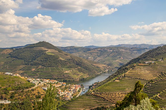Douro Valley: private tour with lunch and wine estate all inclusive - Wine Tasting Done Right: How to Get More From the Glass