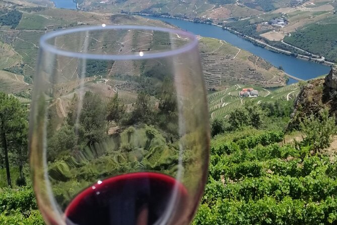 Douro Valley — Private UNESCO Wine & Cultural Experience - Why a private Douro day from Braga feels like the right kind of trip