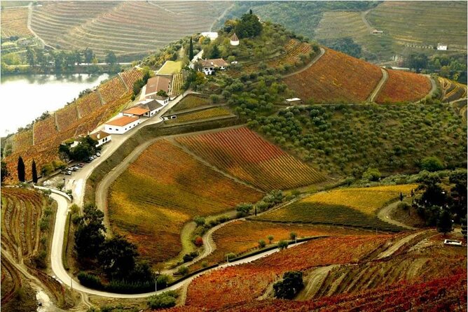 Douro Valley — Private UNESCO Wine & Cultural Experience - Winery visits and wine tasting: what you should expect to learn