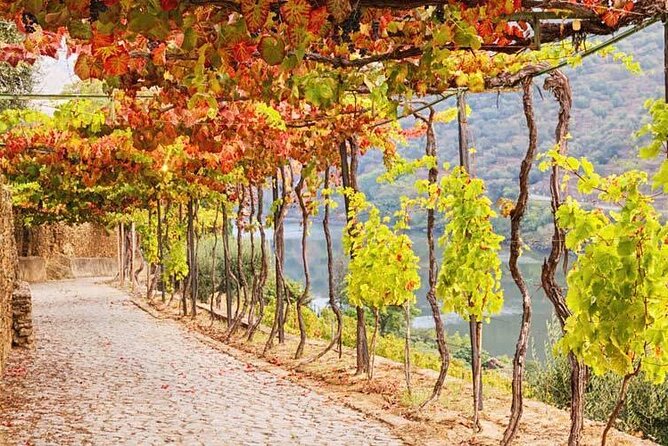 Douro Valley — Private UNESCO Wine & Cultural Experience - Lunch with roasted lamb, plus a real break from driving