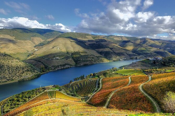 Douro Valley — Private UNESCO Wine & Cultural Experience - Price and value: is $583.99 per person worth it?
