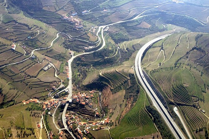 Douro Valley private wine tour | tastings and lunch included - Key Highlights You Will Actually Feel