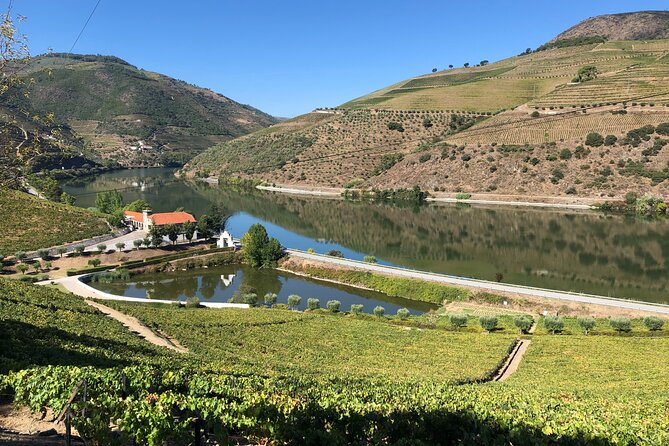 Douro Valley private wine tour | tastings and lunch included - What to Pack and How to Pace Yourself