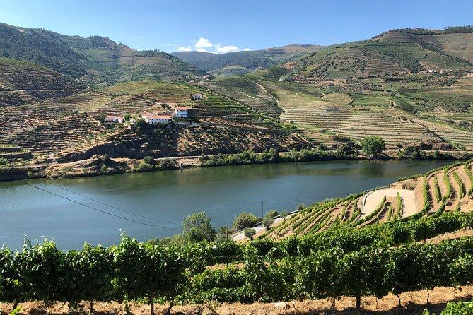 Douro Valley private wine tour | tastings and lunch included - Getting From Porto to the Vineyards: Timing and Real-World Pace