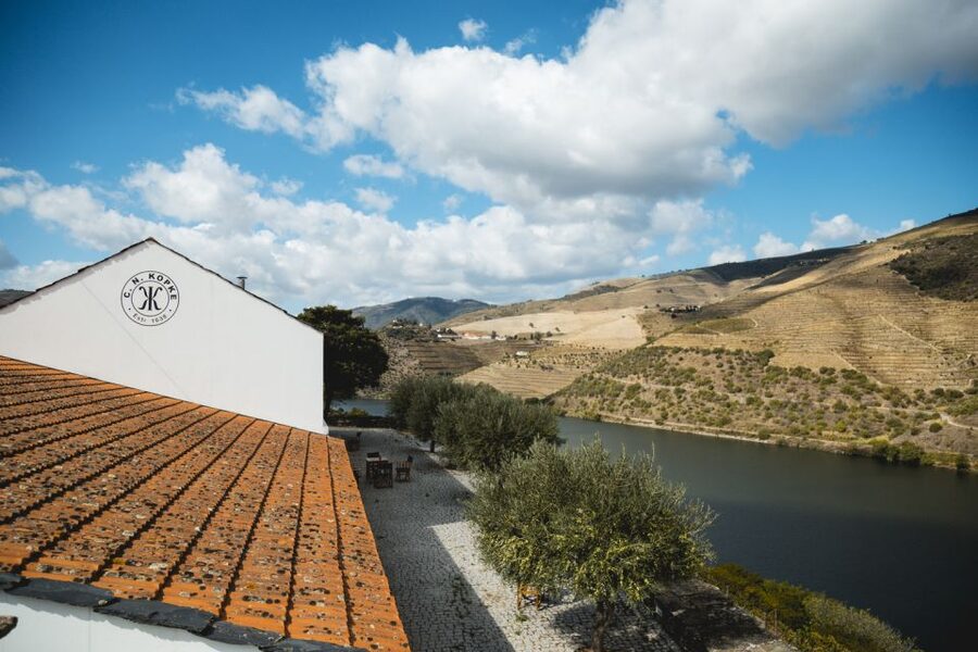Douro Valley: Quinta de S. Luiz Winery Tour and Tasting - The guide and the experience vibe: how to get more out of the time
