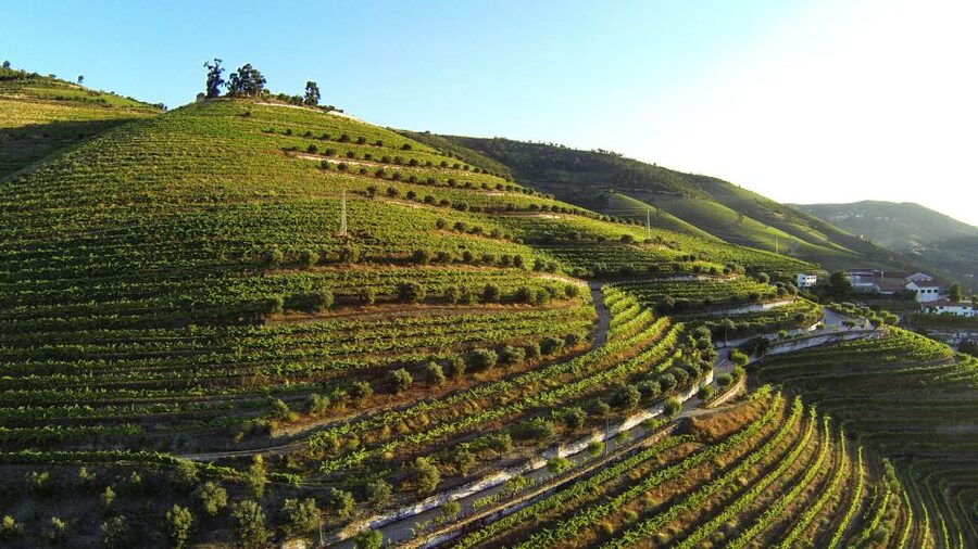 Douro Valley: Quinta de S. Luiz Winery Tour and Tasting - Chapel of Santa Quitéria: a calm pause in the middle of wine talk