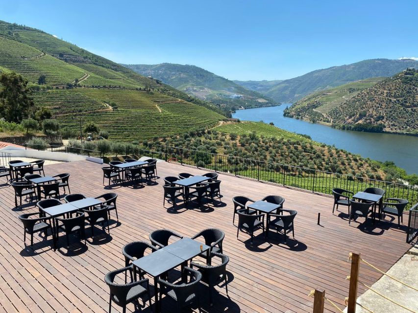 Douro Valley: Quinta de S. Luiz Winery Tour and Tasting - Classic or premium tasting: how to choose based on what you want