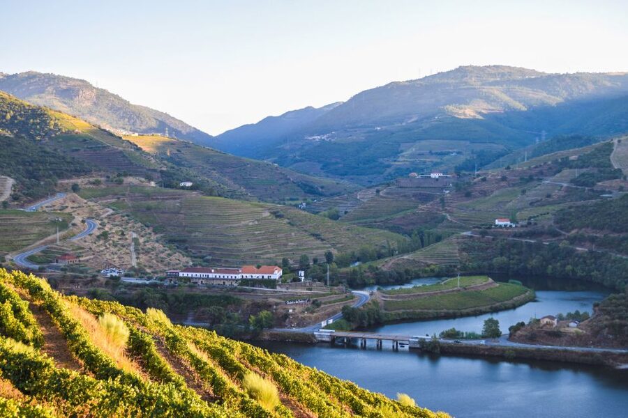 Douro Valley: Quinta do Tedo Wine Experience with Picnic - Key things to know before you go