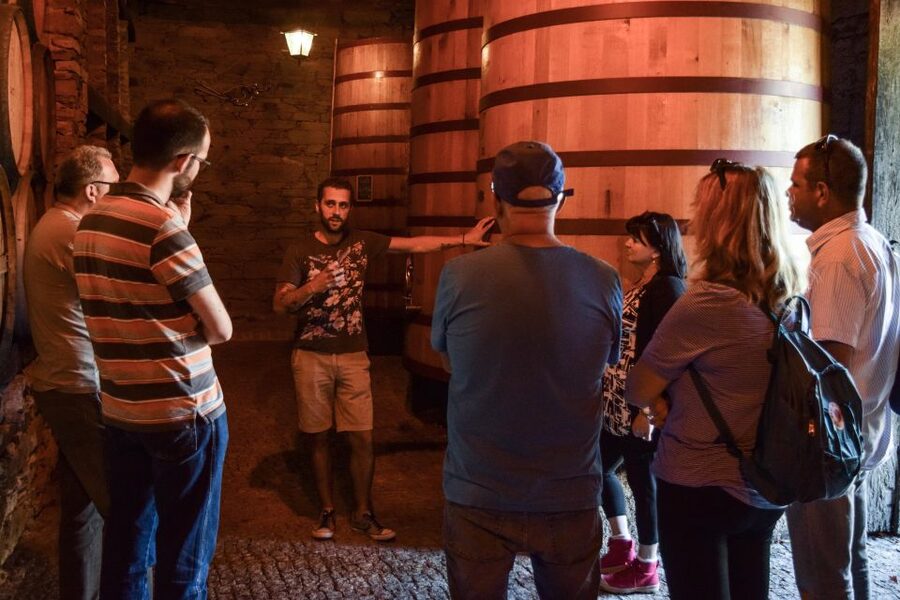 Douro Valley: Quinta do Tedo Wine Experience with Picnic - A centennial olive tree picnic that feels like the Douro at its slow pace