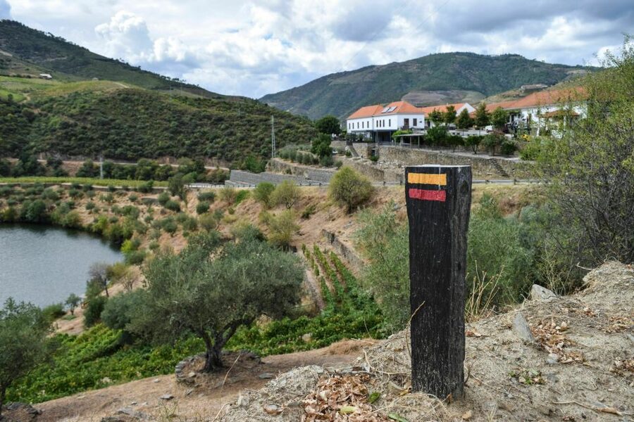 Douro Valley: Quinta do Tedo Wine Experience with Picnic - Winery tour: vinification center, cellars, and the feel of real production
