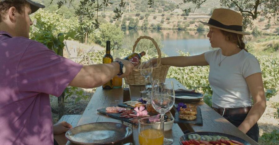 Douro Valley: Quinta do Tedo Wine Experience with Picnic - Wine tasting choices: Douro DOC red or rosé, or Terra a Terra white