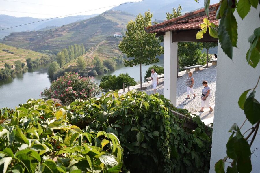 Douro Valley: Quinta do Tedo Wine Experience with Picnic - The picnic menu: more than bread and cheese, with sweet and salty balance