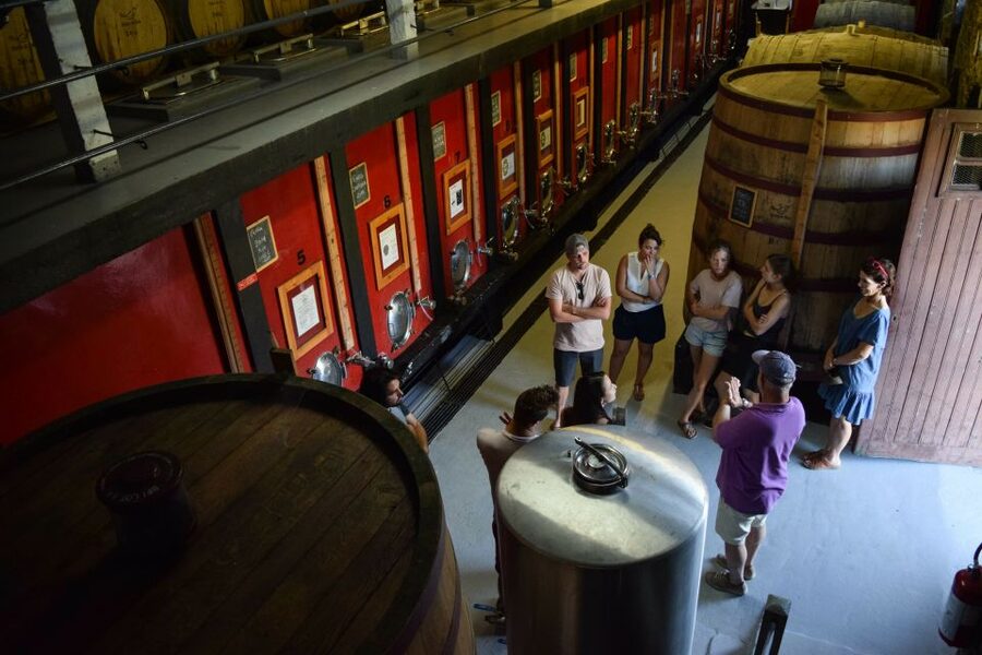 Douro Valley: Quinta do Tedo Wine Experience with Picnic - Practical details that keep your day smooth