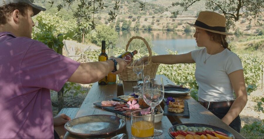 Douro Valley: Quinta do Tedo Wine Experience with Picnic - Timing that actually works, 10h30 start, picnic served at 12h30
